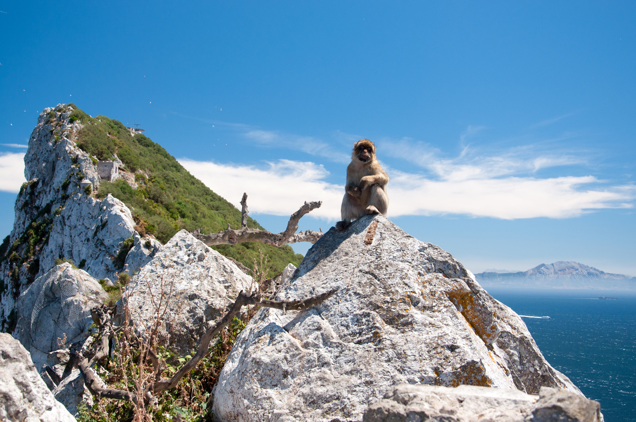 Gibraltar